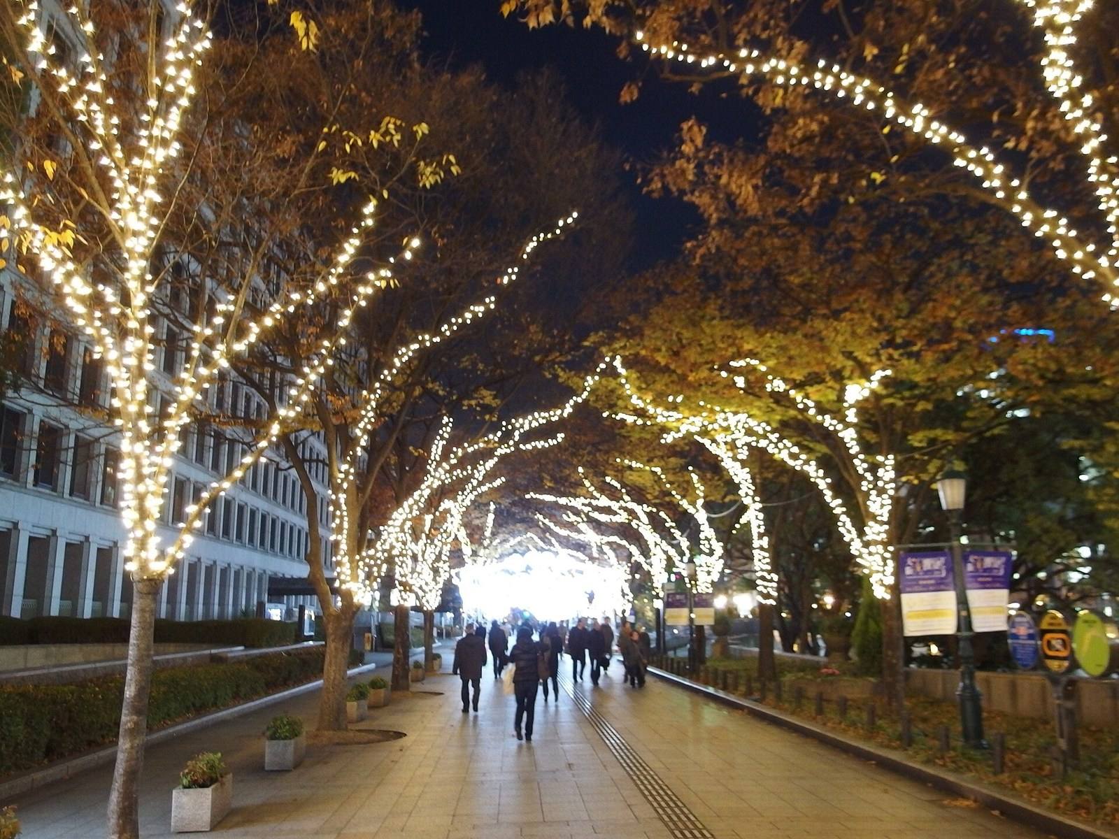 Trees strung with lights along a street on Nakanoshima